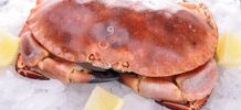 recettes crabe