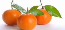 recettes mandarine
